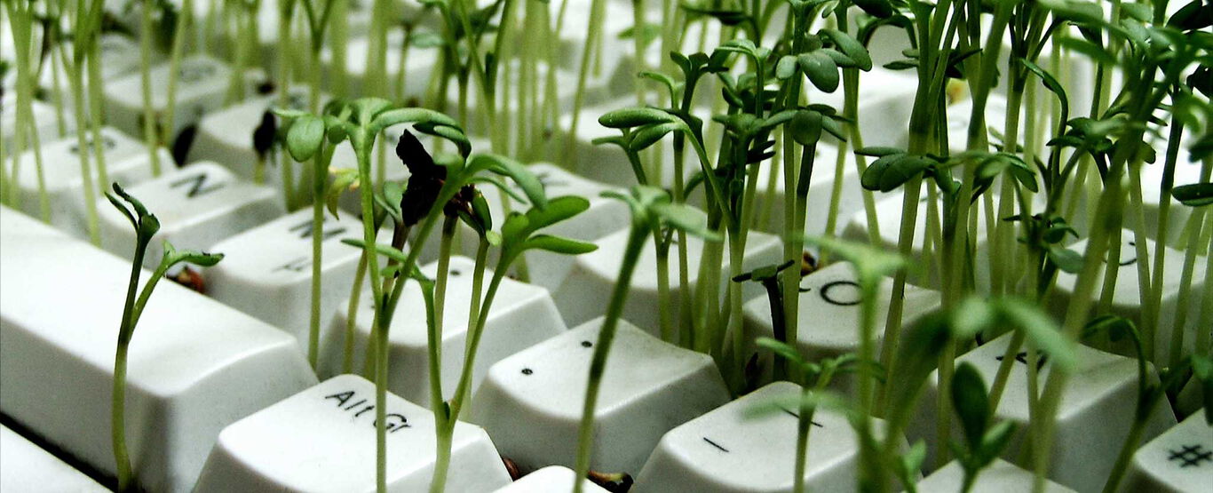kleine-gruene-pflanzen-spriessen-aus-tastatur